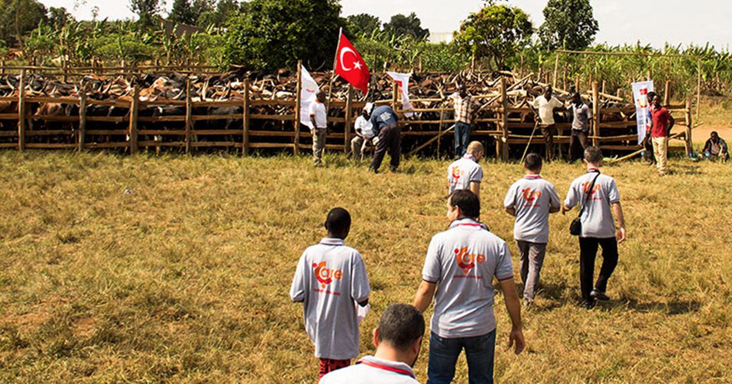 2015 Uganda Kurban Organizasyonu