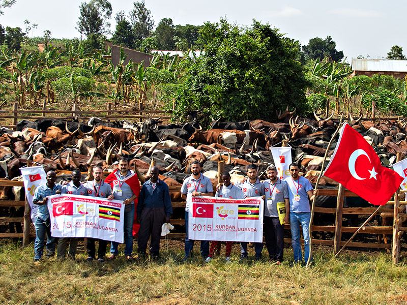 2015 Uganda Kurban Organizasyonu