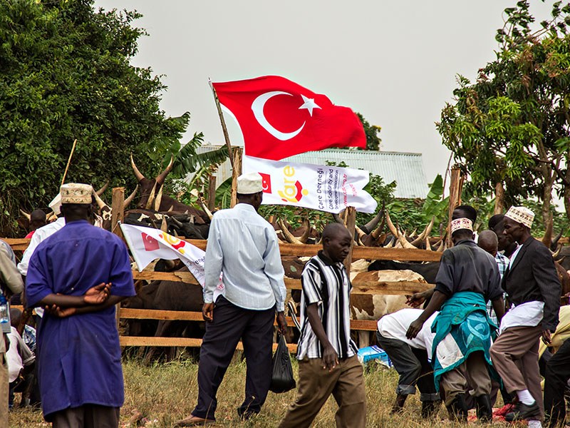 2015 Uganda Kurban Organizasyonu