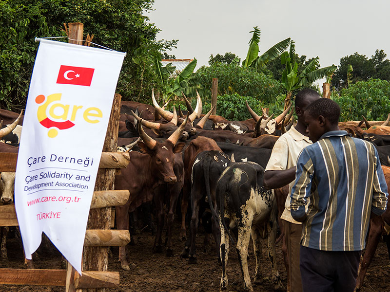 2015 Uganda Kurban Organizasyonu