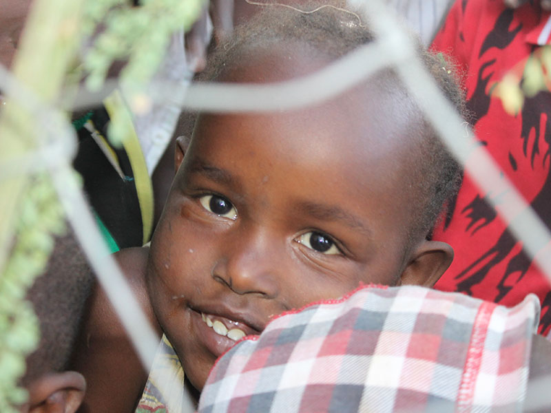2015 Kenya Kurban Organizasyonu