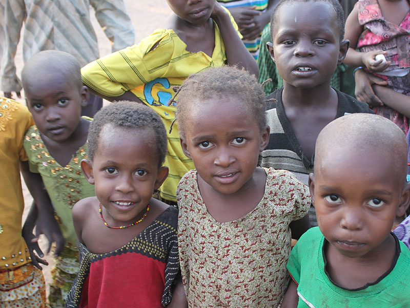 2015 Kenya Kurban Organizasyonu