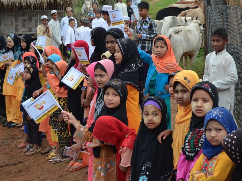 2015 Arakan Kurban Organizasyonu