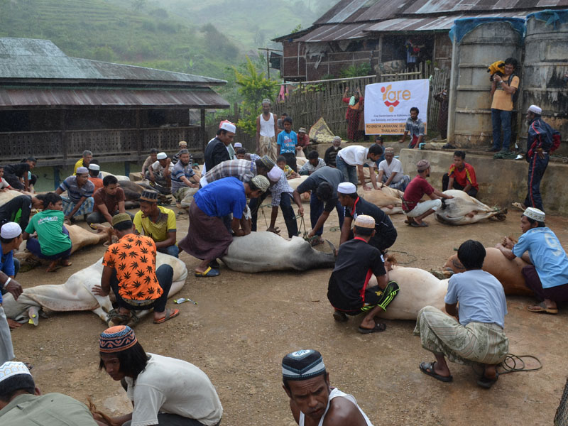 2015 Arakan Kurban Organizasyonu
