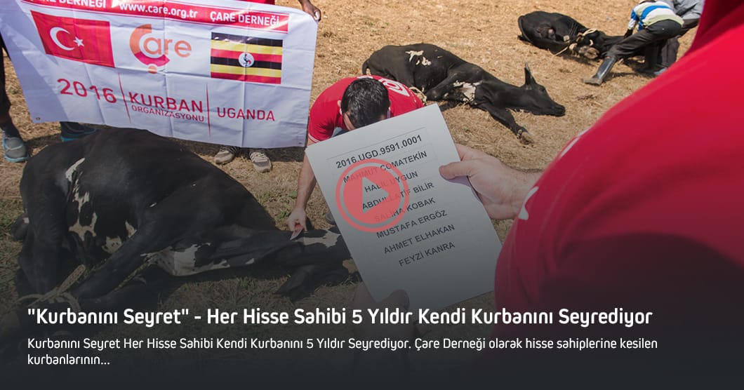 Kurbanını Seyret