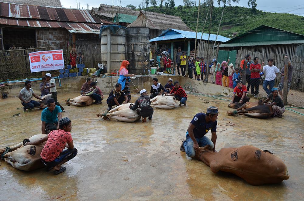 2017 Arakan Kurban Organizasyonu