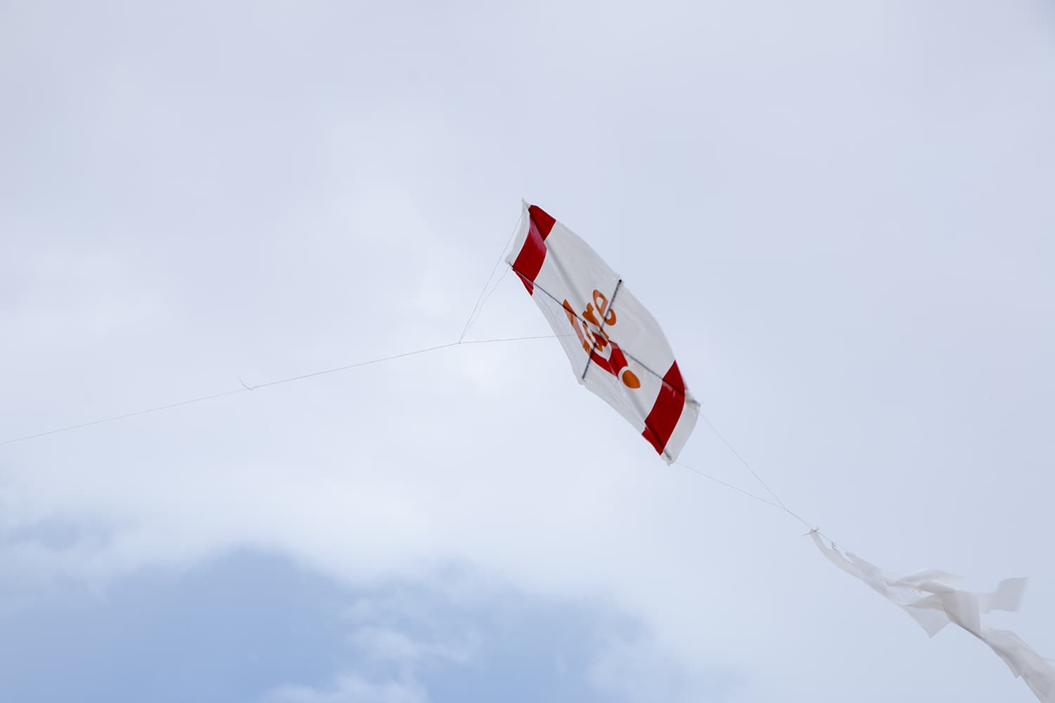 "We Are Flying To Freedom" Kite Carnival