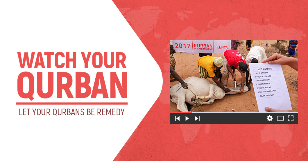 Send Your Qurban To Those In Need