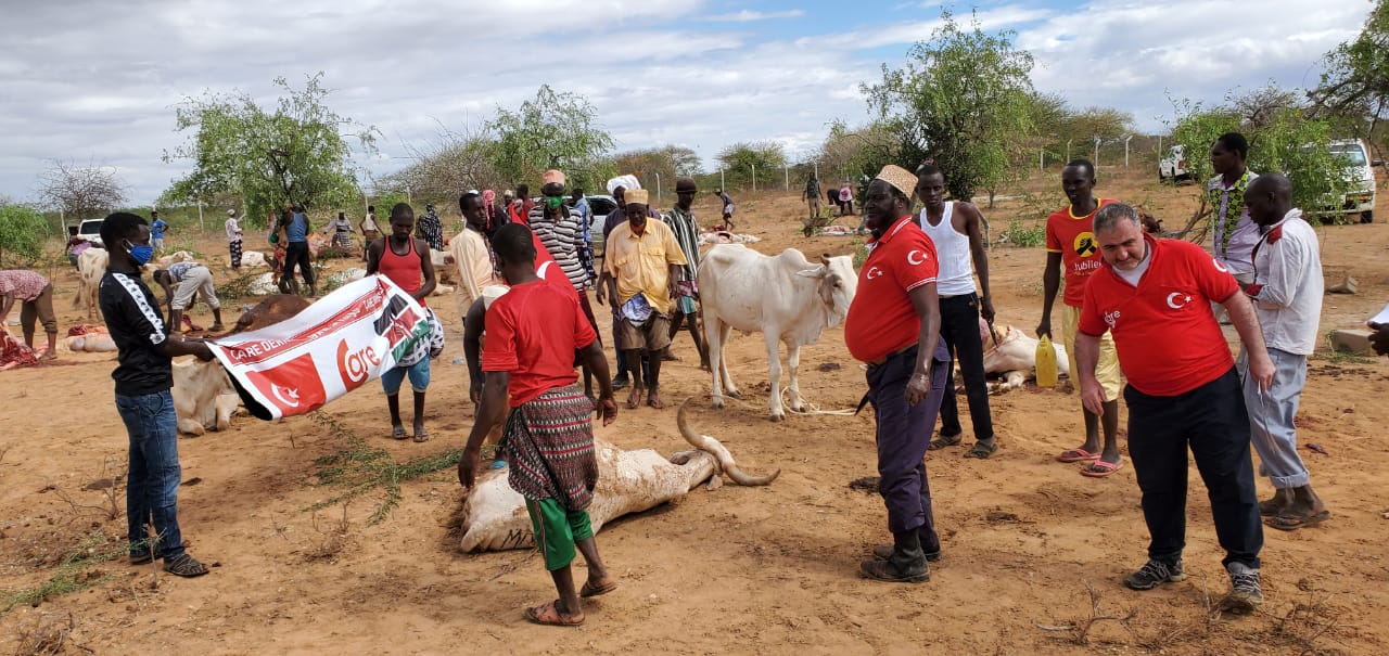 2020 Wajib Qurban Organization in Kenya