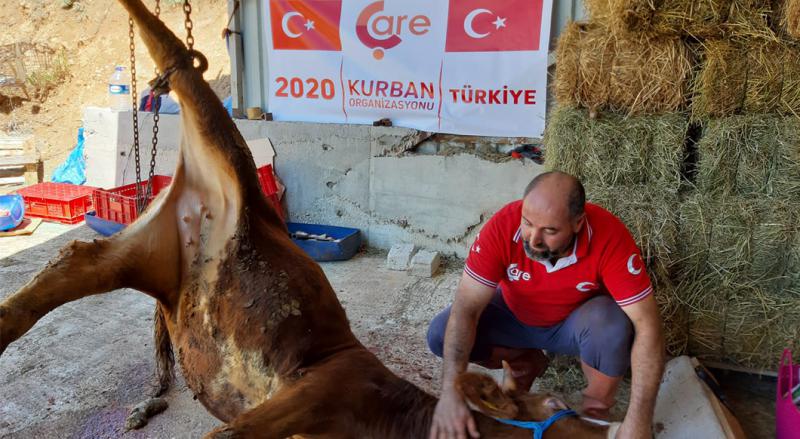 2020 | Türkiye, Vacip Kurban Organizasyonu