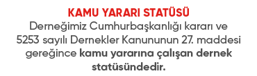 kamu yararı statüsü