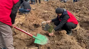 11 Kasım’da Fidanlar Toprakla Buluştu