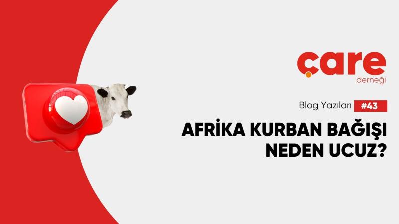 Afrika Kurban Bağışı Neden Ucuz? 