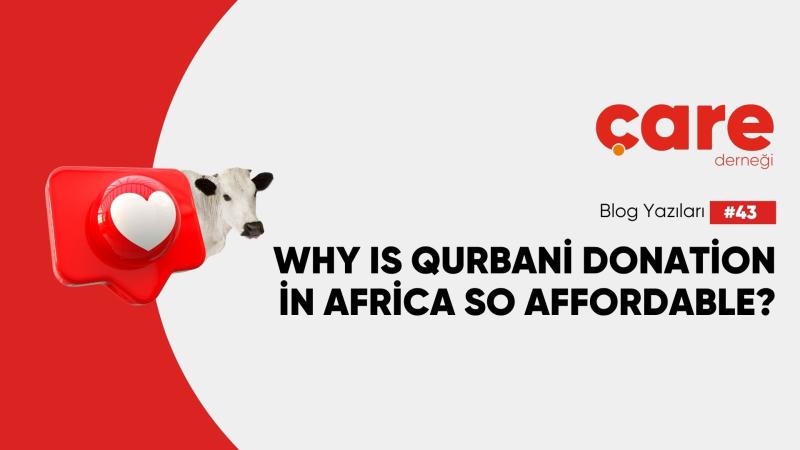 Why Is Qurbani Donation in Africa So Affordable?
